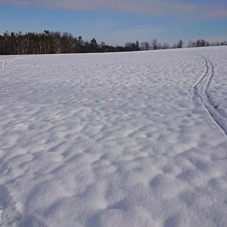 Affittacamere Kůlna 3*